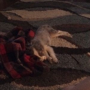 Meet your Posher, Nan